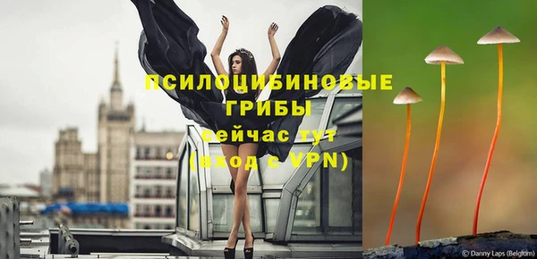 СК Краснослободск