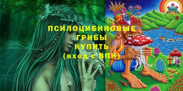СК Краснослободск