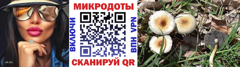 Купить закладки  Сенгилей  Псилоцибиновые грибы MAGIC MUSHROOMS 