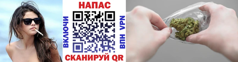 Купить где  Сенгилей  Каннабис конопля 